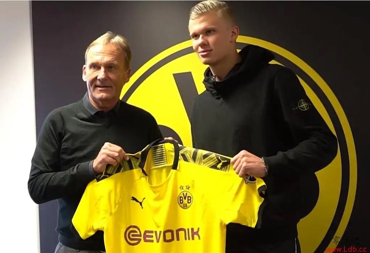 足球国足体脂数据公布，多名球员达标